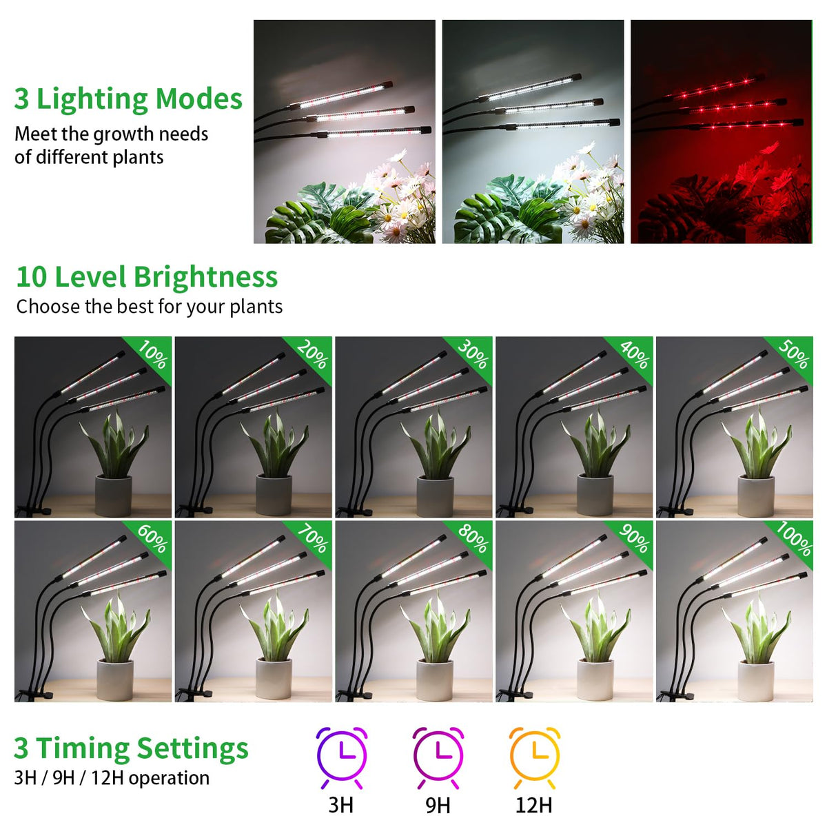 RWNTAO cycle memory timer function keeps automatic daily on/off