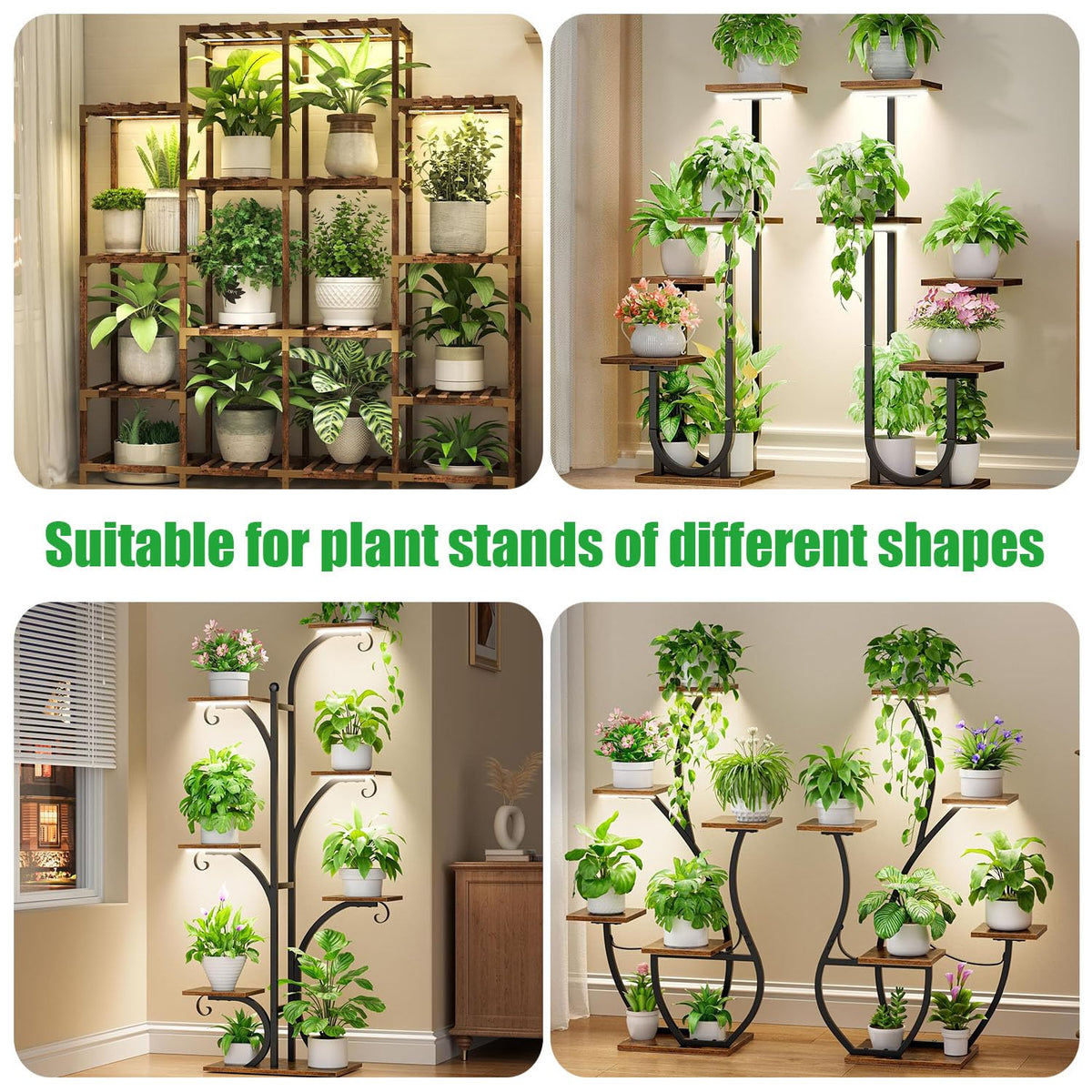 RWNTAO easy-installation clamps secure lamp position on shelves