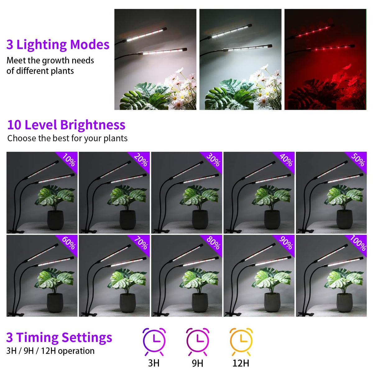 RWNTAO full-spectrum white and red LEDs support plant growth stages