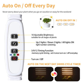 RWNTAO grow light with clip-base for stable, adjustable placement.