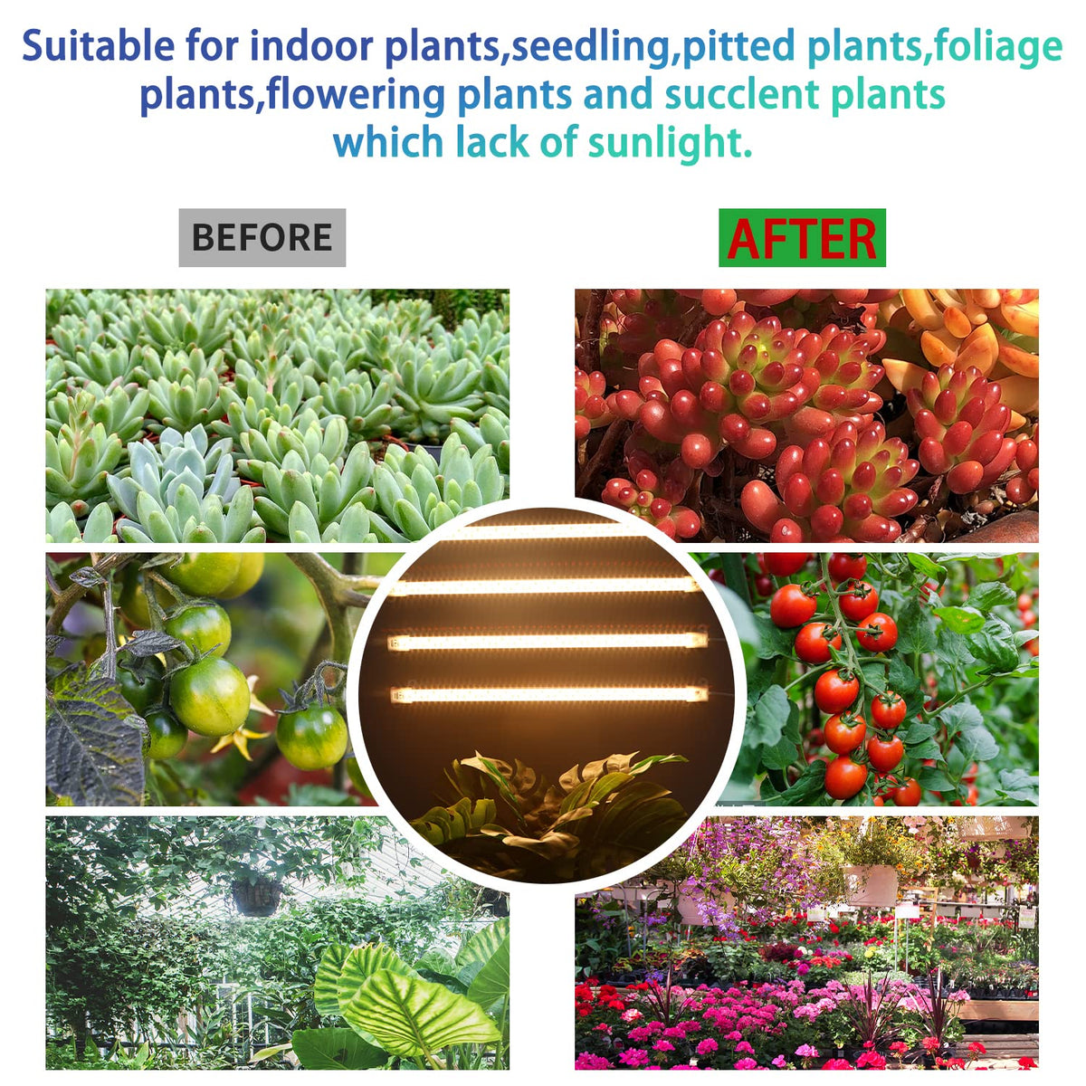 RWNTAO Grow Light Two Heads—durable aluminum body for long-term use.