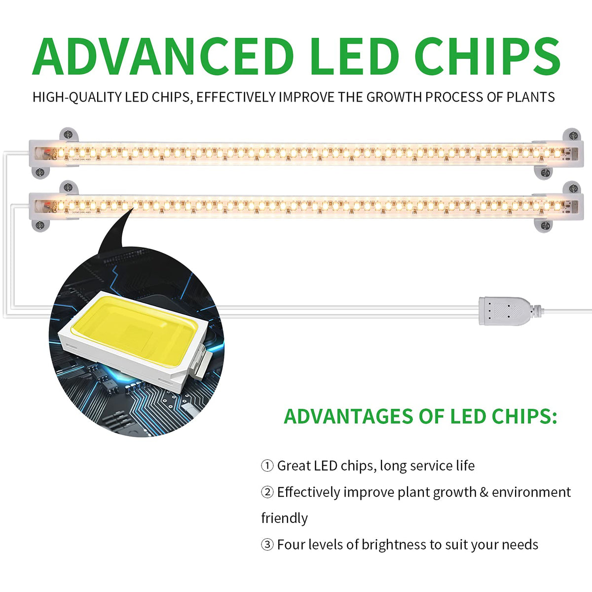 RWNTAO Grow Light Two Heads—suitable for flowers, vegetables, fruits, and succulents.