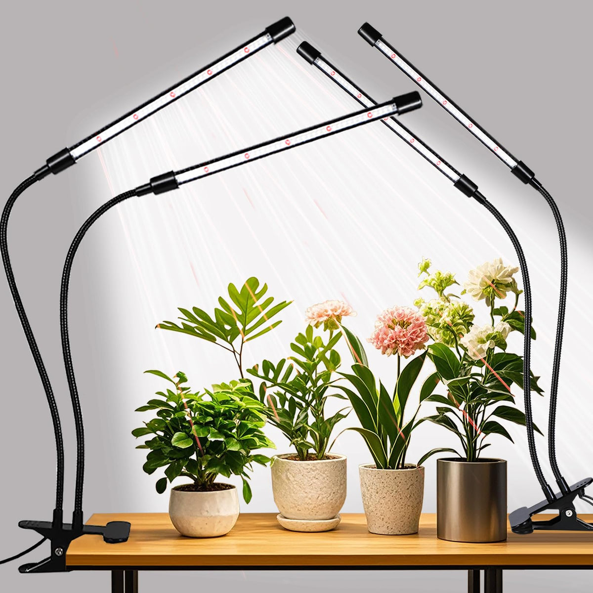 RWNTAO grow lights upgraded clip light for indoor plants with steady full-spectrum illumination