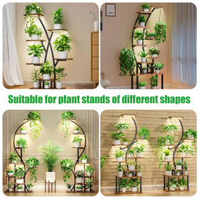 RWNTAO indoor plant shelf setup using the grow light for greens.