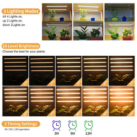 RWNTAO 3500K grow light strip provides balanced spectrum for seedlings.