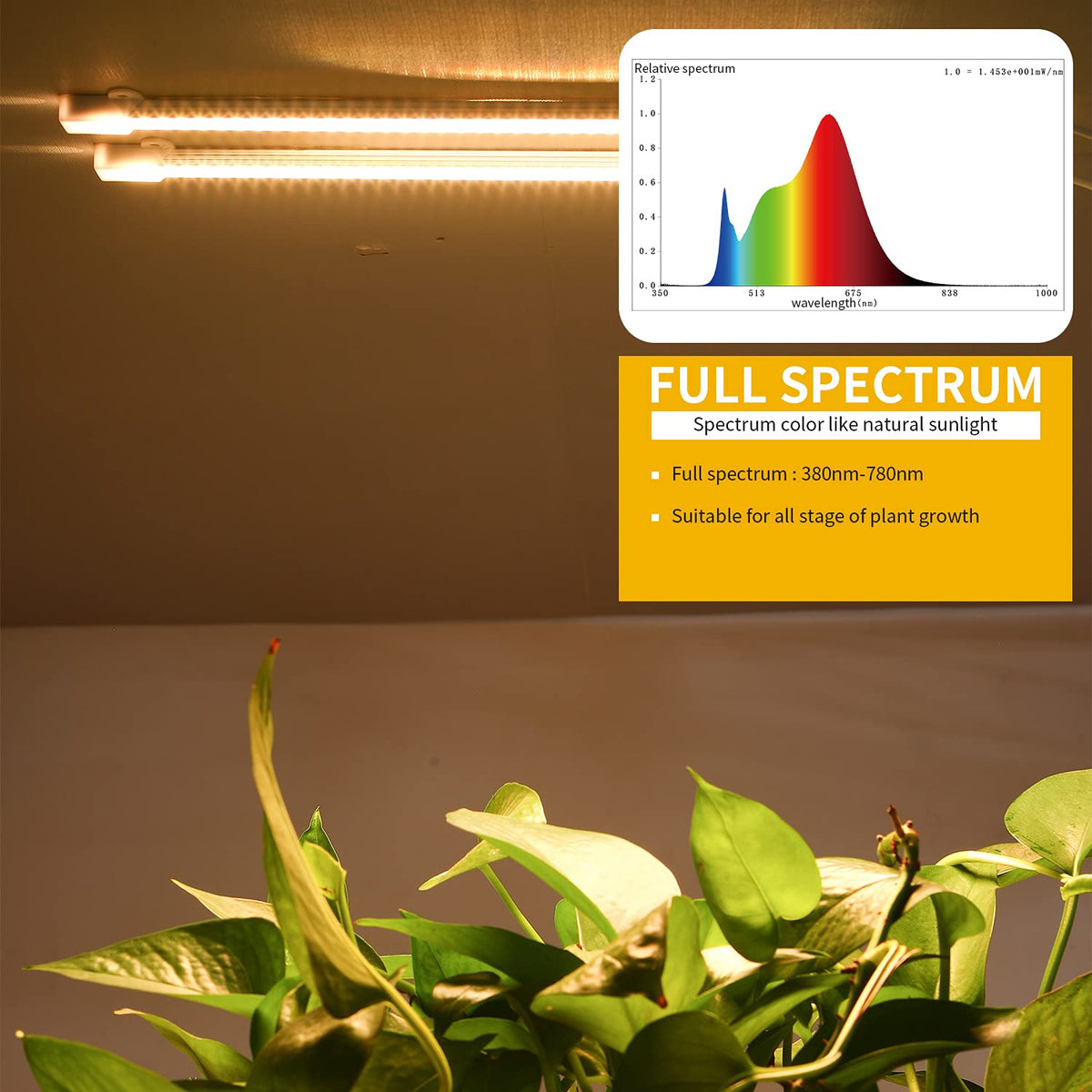 RWNTAO LED Grow Light Strips promote succulent health and color