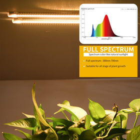 RWNTAO LED Grow Light Strips promote succulent health and color