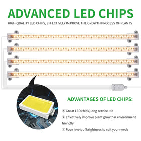 Non-slip clamp base keeps lamp secure on shelves.