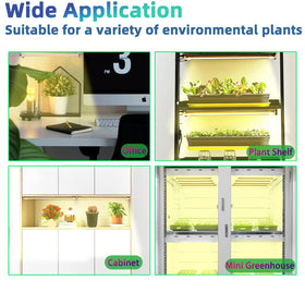 Ideal for office desks or greenhouse shelves with indoor plant use.