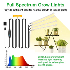 RWNTAO plant growth LED strip setup showing auto timer convenience