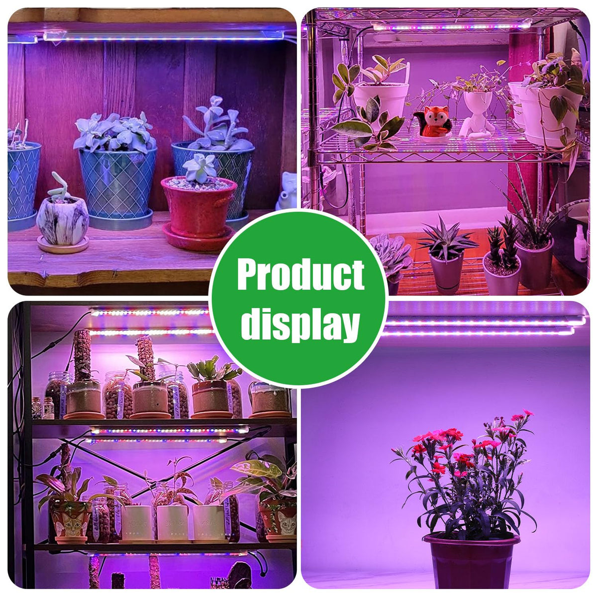 RWNTAO shelf or greenhouse mounting options