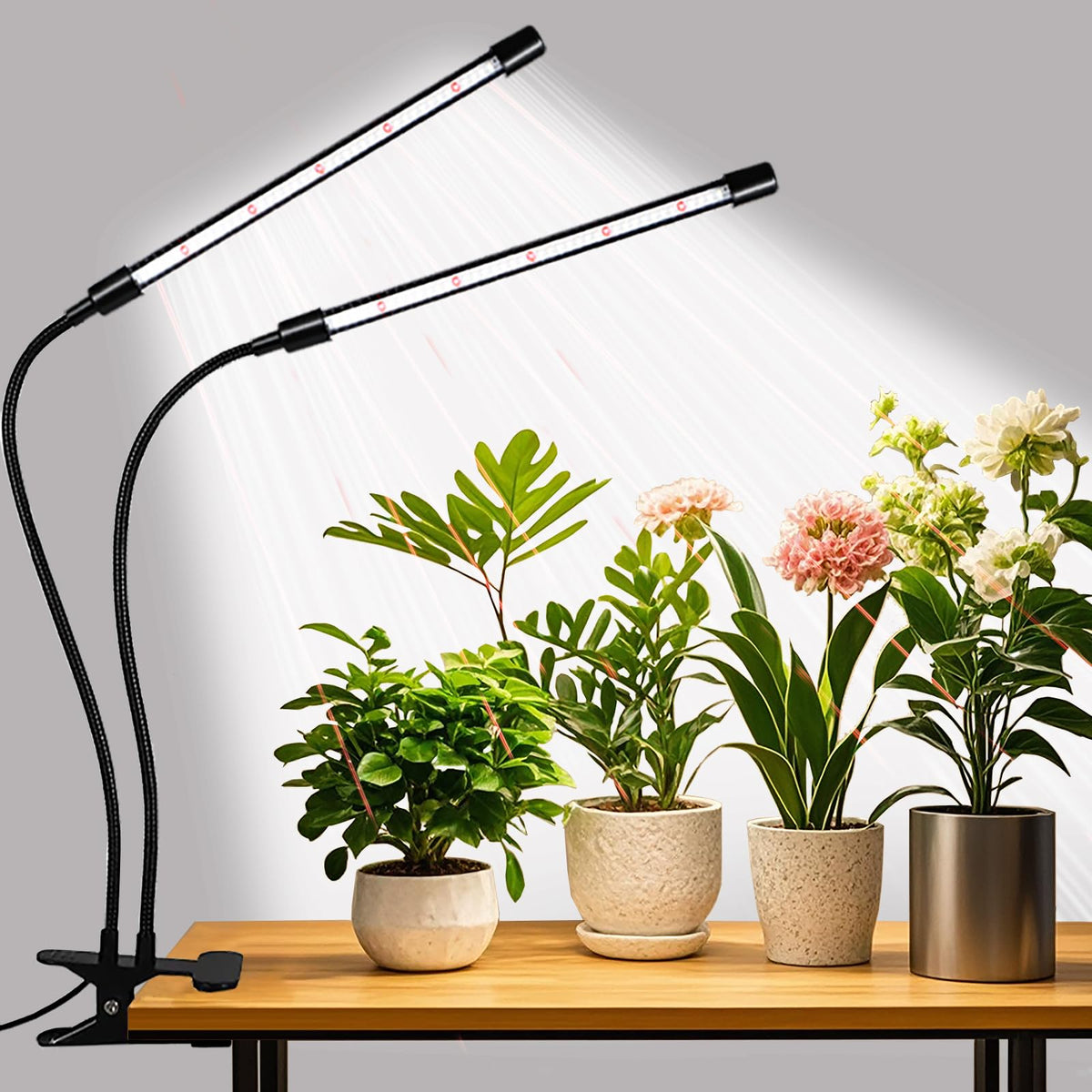 RWNTAO upgraded full-spectrum bar showing powerful indoor grow lighting for healthy plants