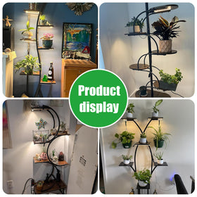 RWNTAO uses for various plants, including herbs and succulents