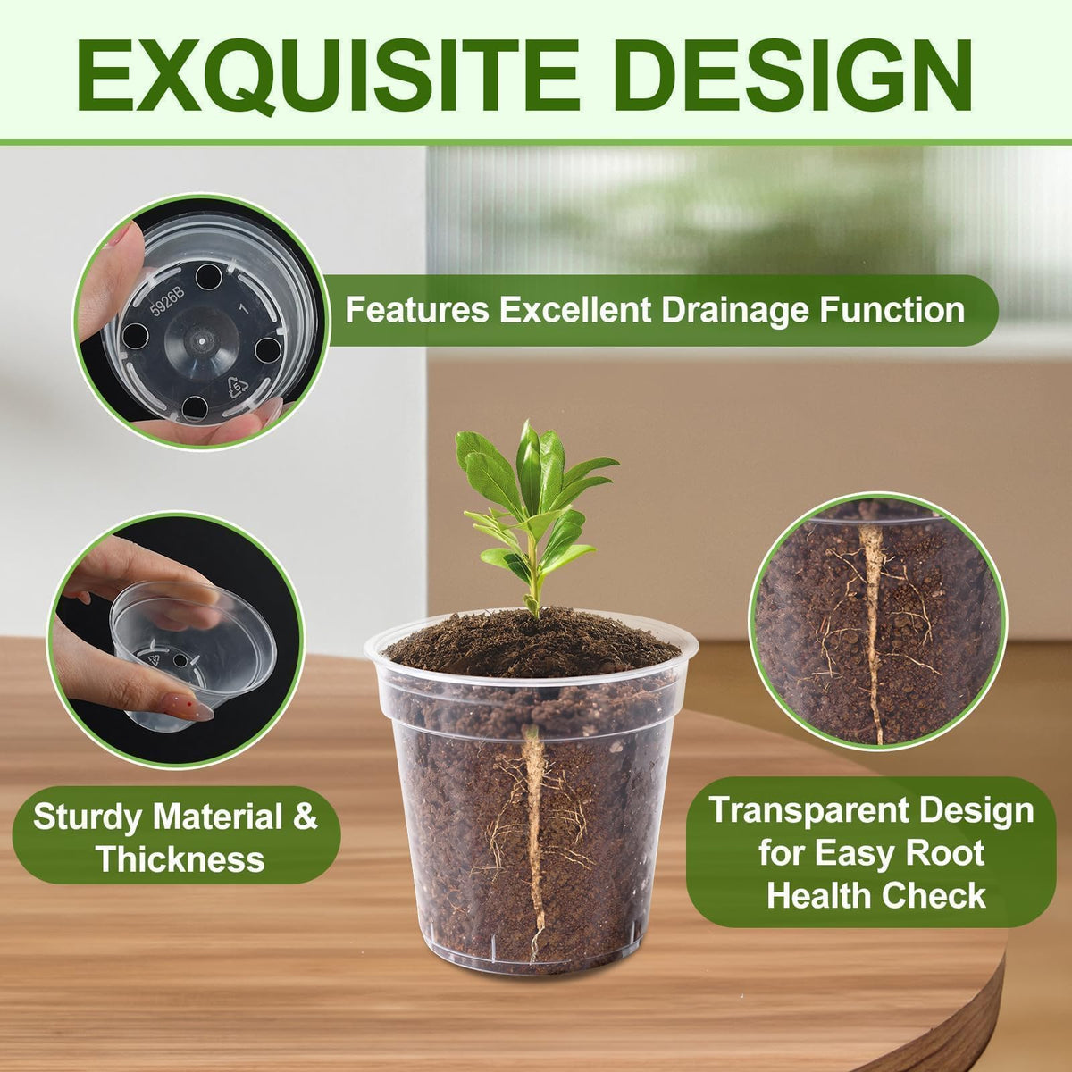 RXLWYUNLAE 2-inch clear nursery pot drainage holes prevent overwatering.