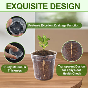 RXLWYUNLAE 2-inch clear nursery pot drainage holes prevent overwatering.