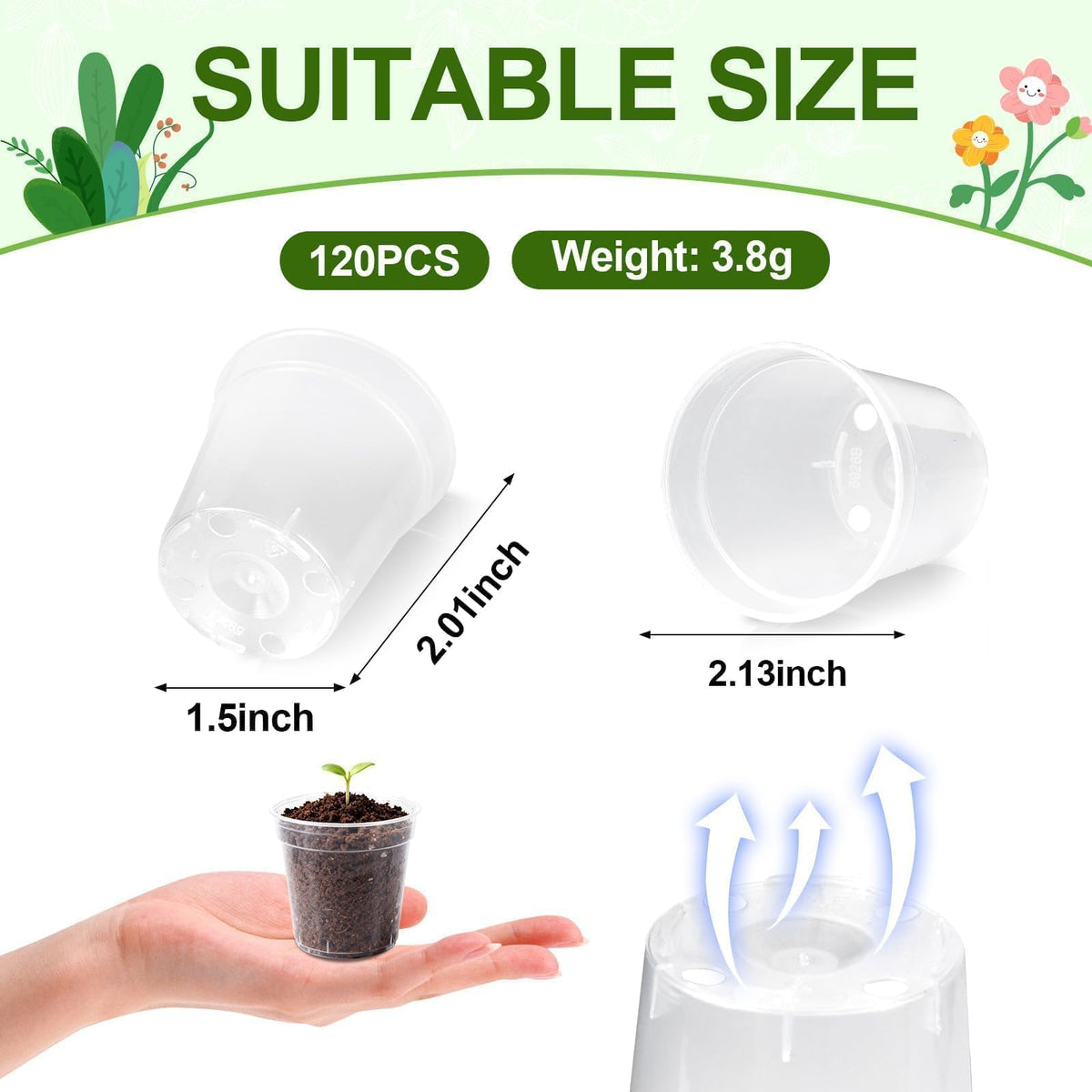 RXLWYUNLAE 2-inch clear nursery pot side view shows portable seed starters.
