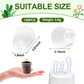 RXLWYUNLAE 2-inch clear nursery pot side view shows portable seed starters.