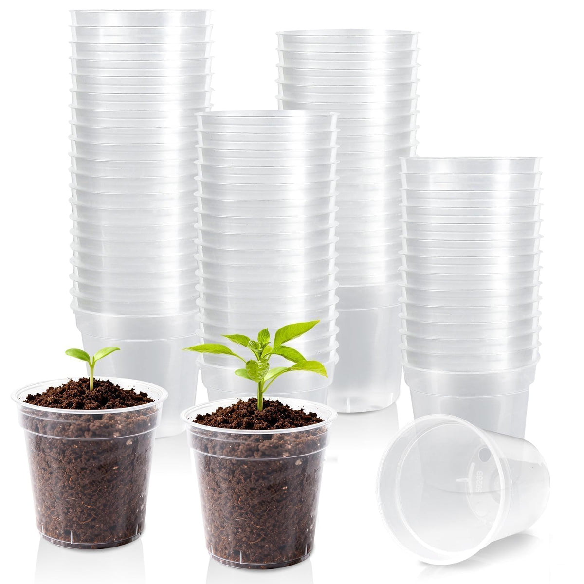 RXLWYUNLAE 2-inch clear nursery pot top view for easy seedling monitoring.