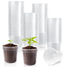 RXLWYUNLAE 2-inch clear nursery pot top view for easy seedling monitoring.