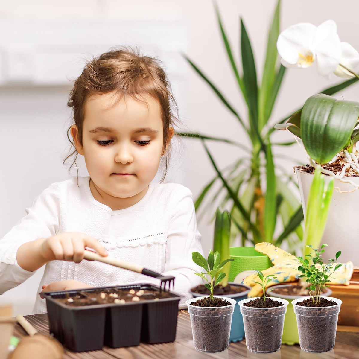 RXLWYUNLAE 2-inch clear pot raised rim enables secure grip.