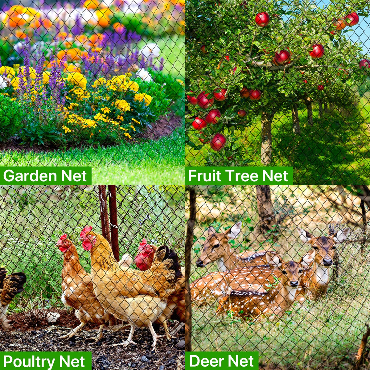 RYHBETH bird netting 1-inch mesh guards garden crops from birds and pests.