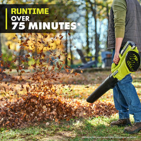 RYOBI 40V blower renewed packaging hints value and tested performance.