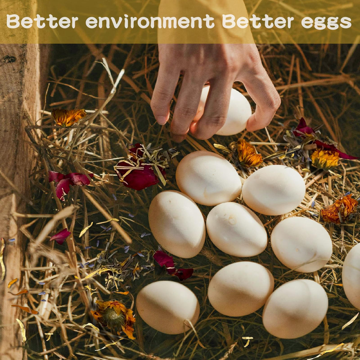 Ryonwise herbs-as-coop-litter illustrates versatile use around the coop