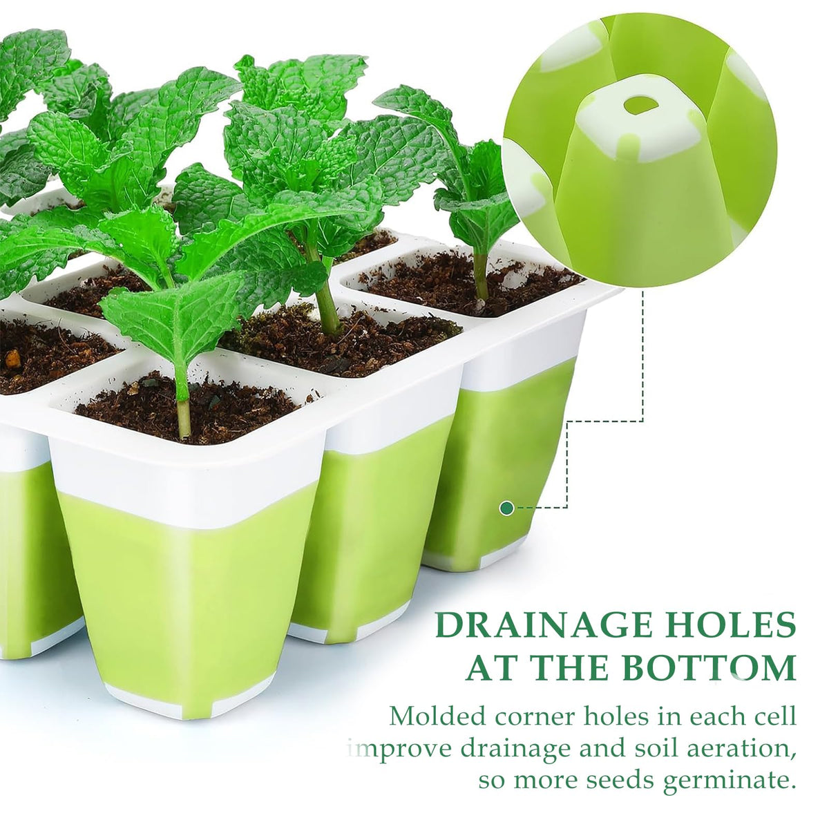 Ryscam 12 flexible pop-out cells enable clean root removal during transplanting.
