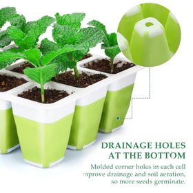 Ryscam 12 flexible pop-out cells enable clean root removal during transplanting.
