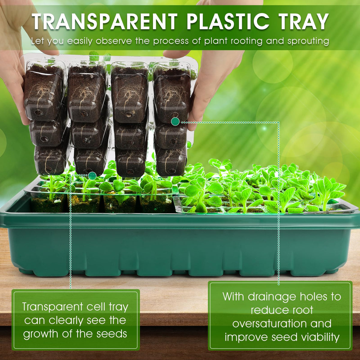 Ryscam automatic timer ensures consistent light cycles for seedlings
