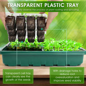 Ryscam automatic timer ensures consistent light cycles for seedlings