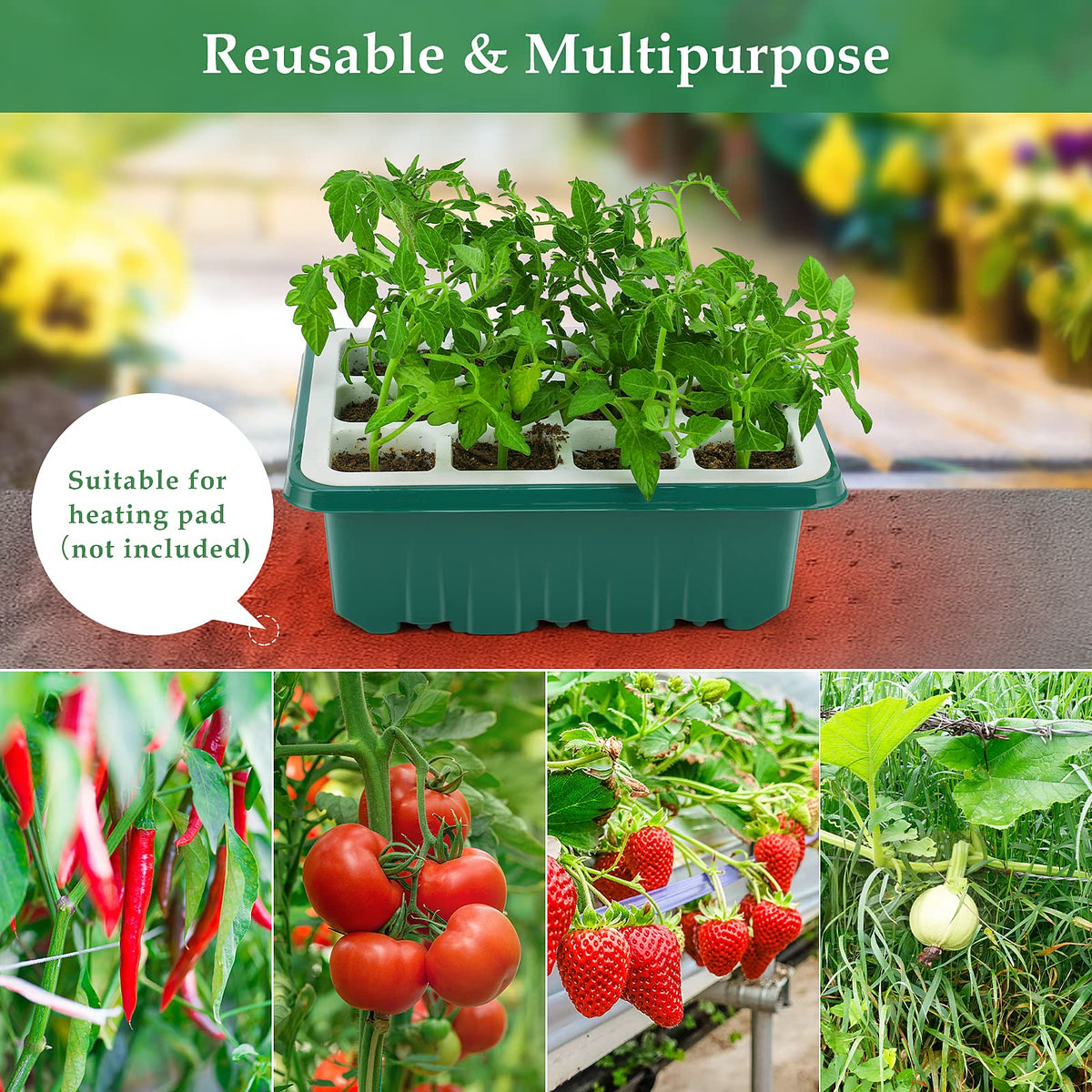 Ryscam BPA-free plastic and silicone construction supports safe seed starting.