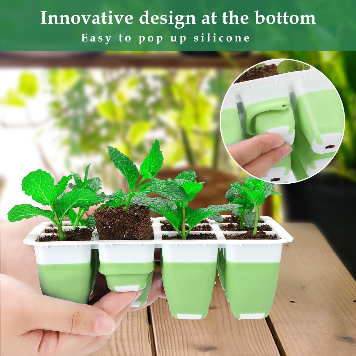 Ryscam humidity dome keeps moisture stable for healthy seedlings.