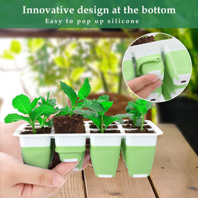 Ryscam humidity dome keeps moisture stable for healthy seedlings.