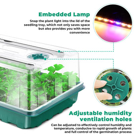 Ryscam humidity dome maintains moisture for uniform germination