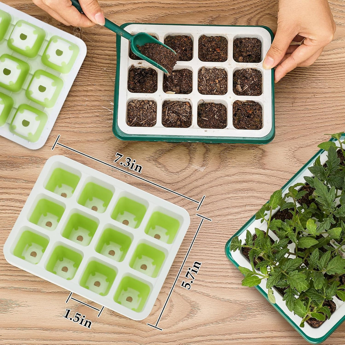 Ryscam seed starter kit supports indoor seed starting and propagation.
