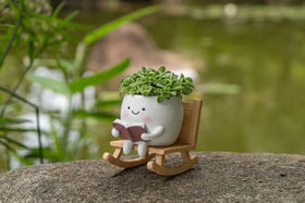 RZOIKZOI gift-ready planter adds playful charm to spaces