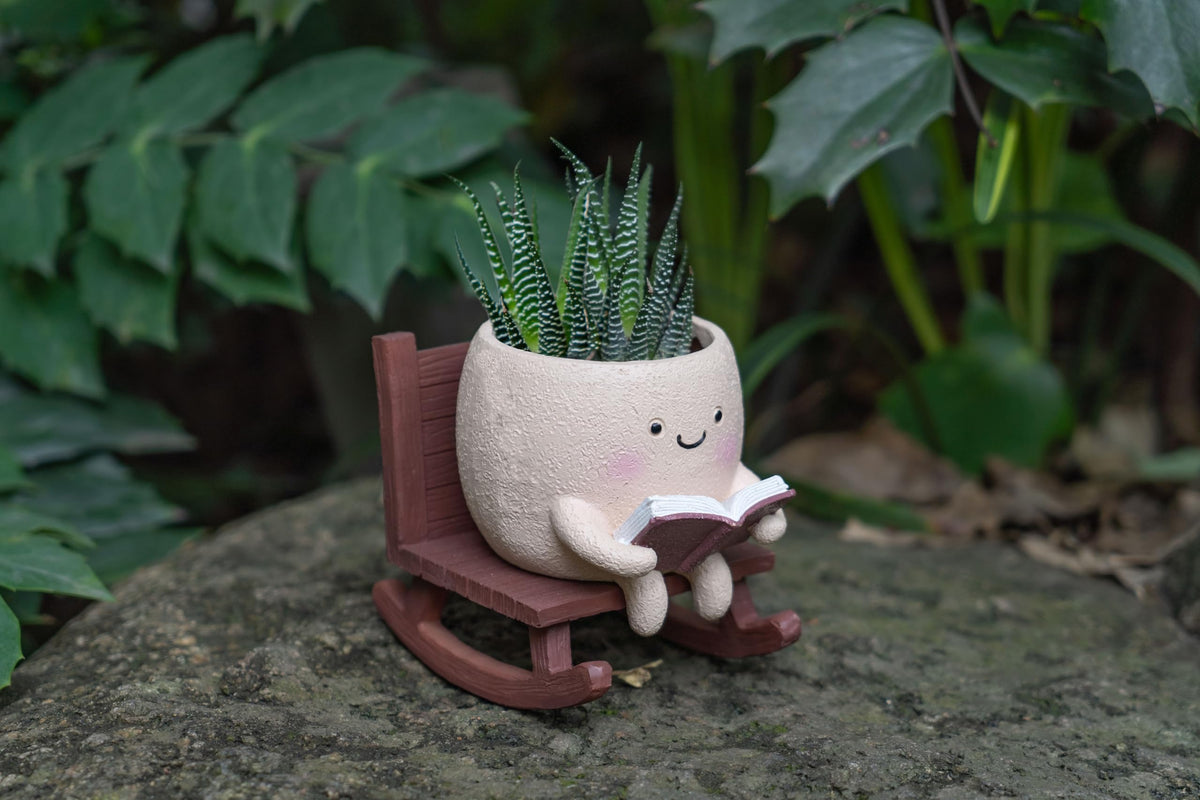 RZOIKZOI gift-ready planter adds charm for birthdays