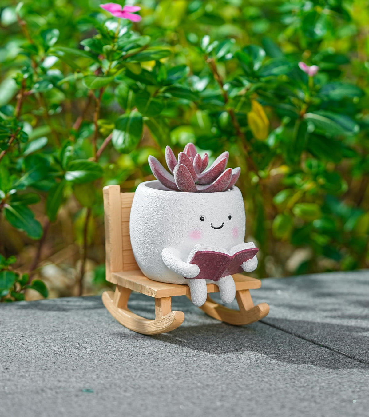 RZOIKZOI rocking-chair succulent display