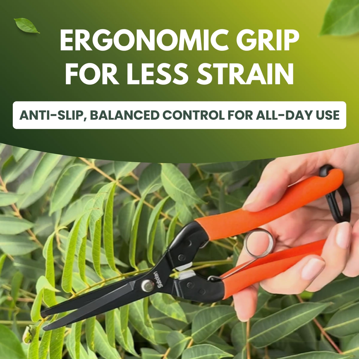Saboten black fluorine-coated blade reduces sap buildup for smoother glides.