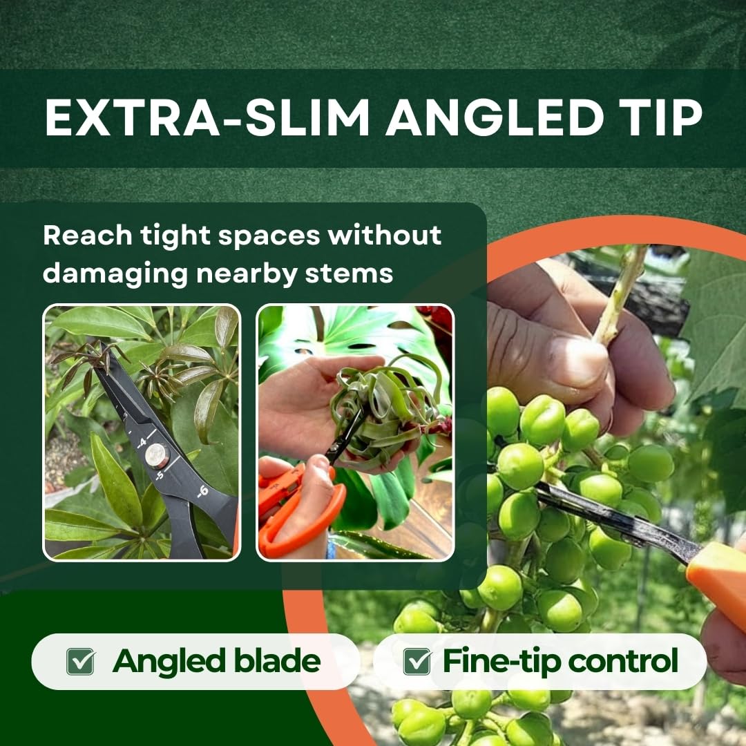Saboten fluorine-coated stainless steel blade reduces sticking for easy cleaning.