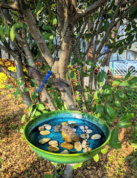SAC SMARTEN ARTS decorative dragonfly accent adds seasonal garden charm