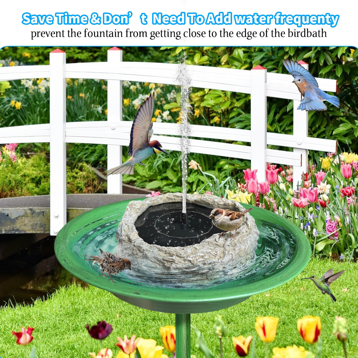 SAC SMARTEN ARTS hummingbird-friendly feature invites birds to sip and bathe.