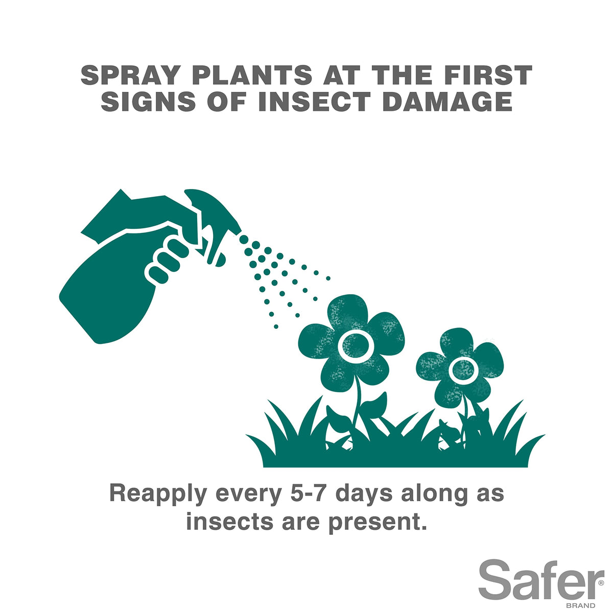 Safer 5118-6 mealybugs on leaf controlled by spray