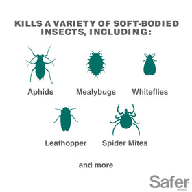 Safer 5118-6 plant spray application for ready-to-use garden protection