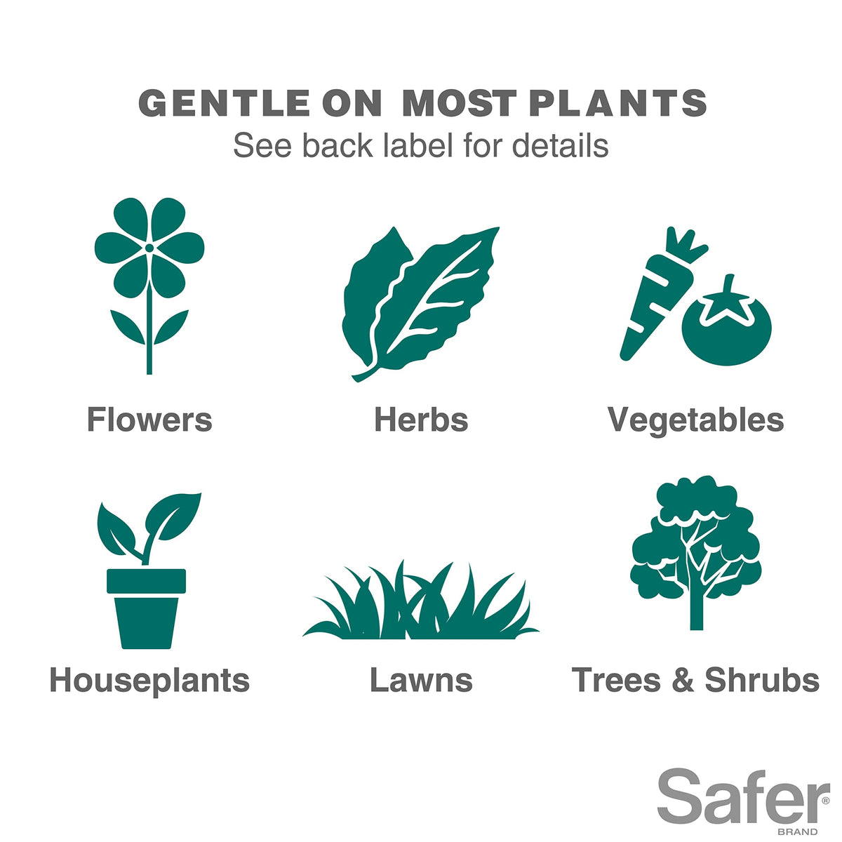 Safer 5118-6 whiteflies on leaves managed with soap spray