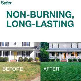 Safer Brand Lawn Restore n-p-k-9-0-2 emphasizes balanced nutrition for growth.