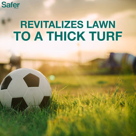 Safer Brand Lawn Restore roots-strong image highlights deeper root growth and resilience.