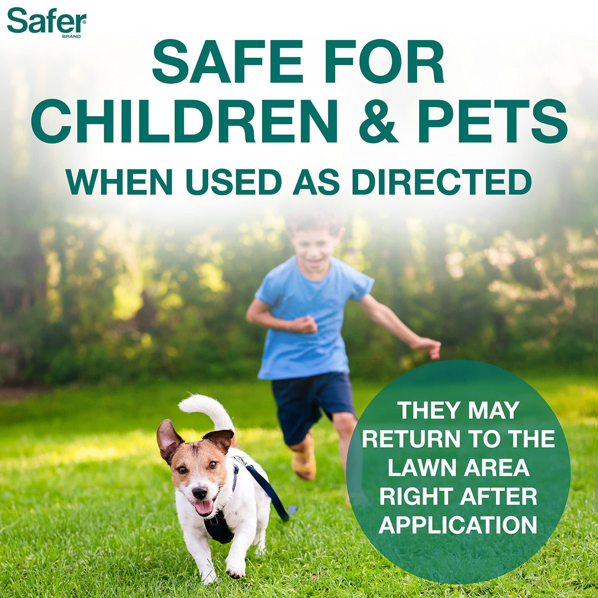 Safer Brand Lawn Restore thick-turf illustrates fuller, denser grass for a thriving lawn.