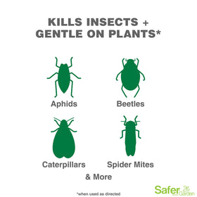 Safer Brand SG5110 spray application on plant surfaces to deter pests